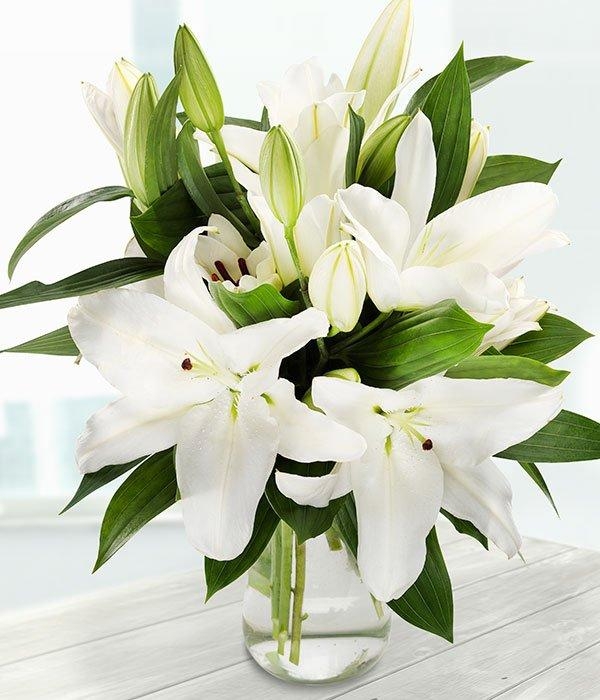 Pure White Lilies